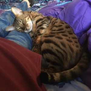 Meet your Posher, Randy